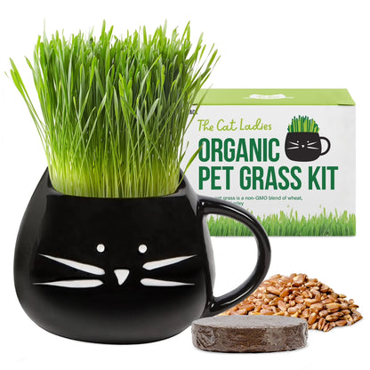 Organic Cat Grass Kit with Black Cat Ceramic Planter, Easy Indoor Planting Gift Set